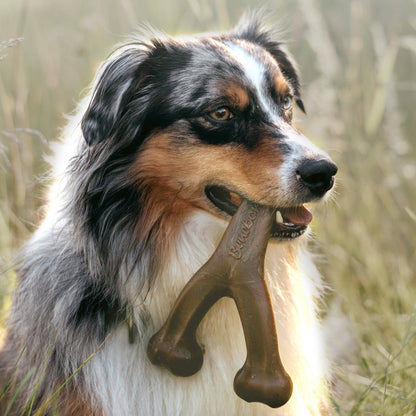 Benebone Dog Wishbone Peanut Butter Flavor Chew Toy