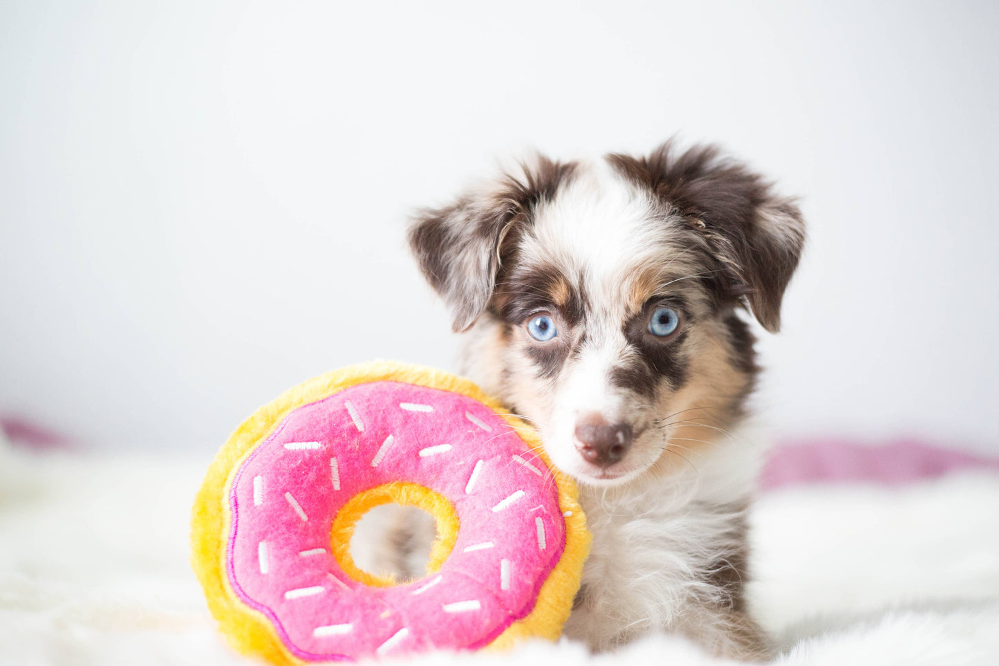 ZippyPaws Mini Donutz Strawberry