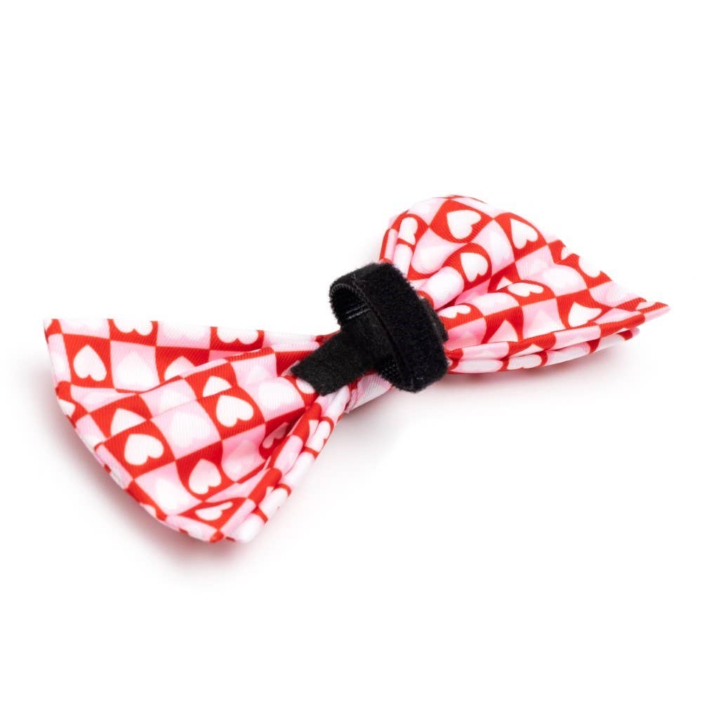 Worthy Dog - Colorblock Hearts Bow Tie