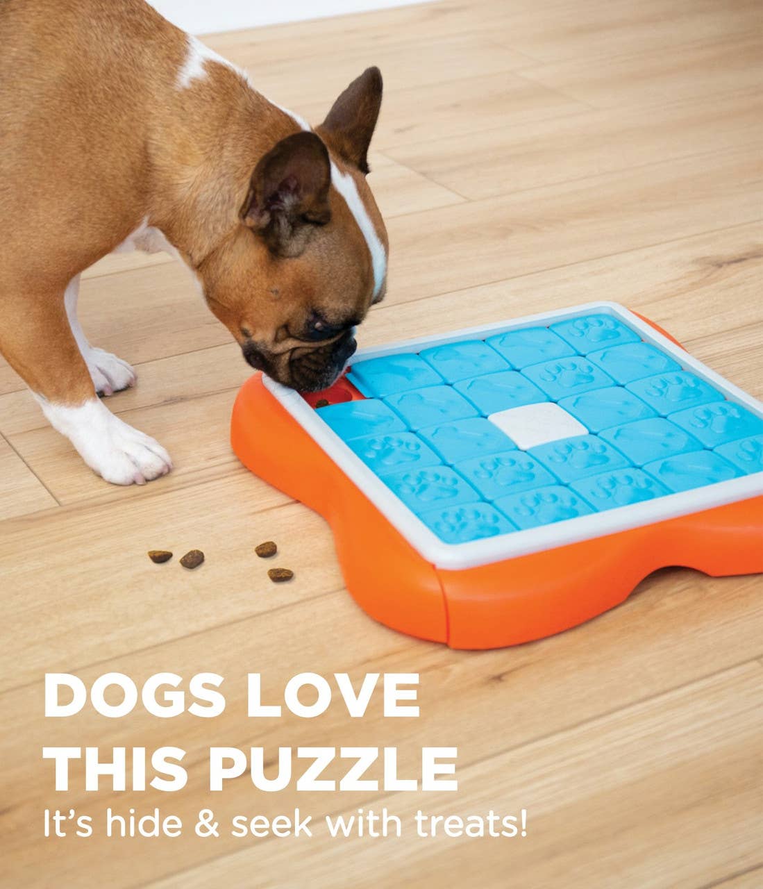 Nina Ottosson by Outward Hound Dog Challenge Slider Interactive Treat Puzzle