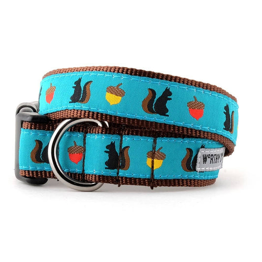 The Worthy Dog - Squirrelly Collar