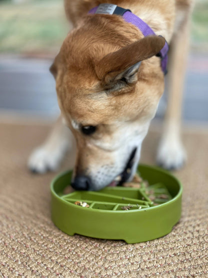 SodaPup Enrichment Slow Feeder Bowl, Pine Tree