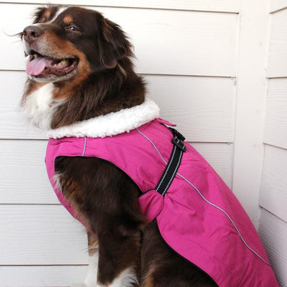 Doggie Design Alpine Tuf Terrain Dog Coat