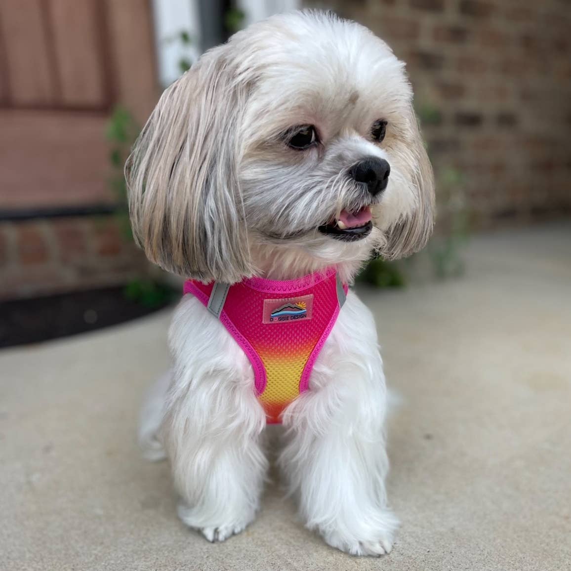 Doggie Design American River Ombre Dog Harness, Raspberry Pink & Orange