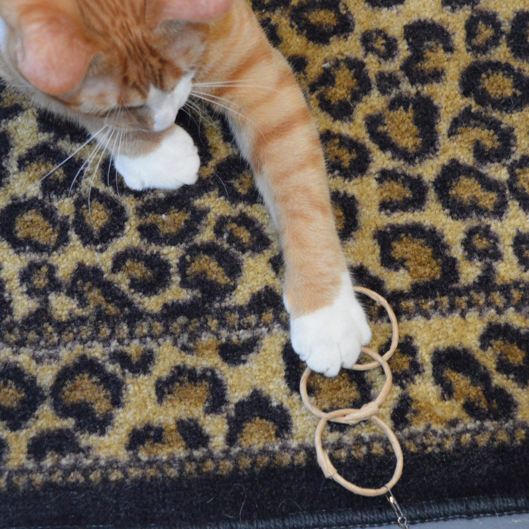 Oh-Rings - Three Ring Wand Attachment - Declaw Cat Friendly