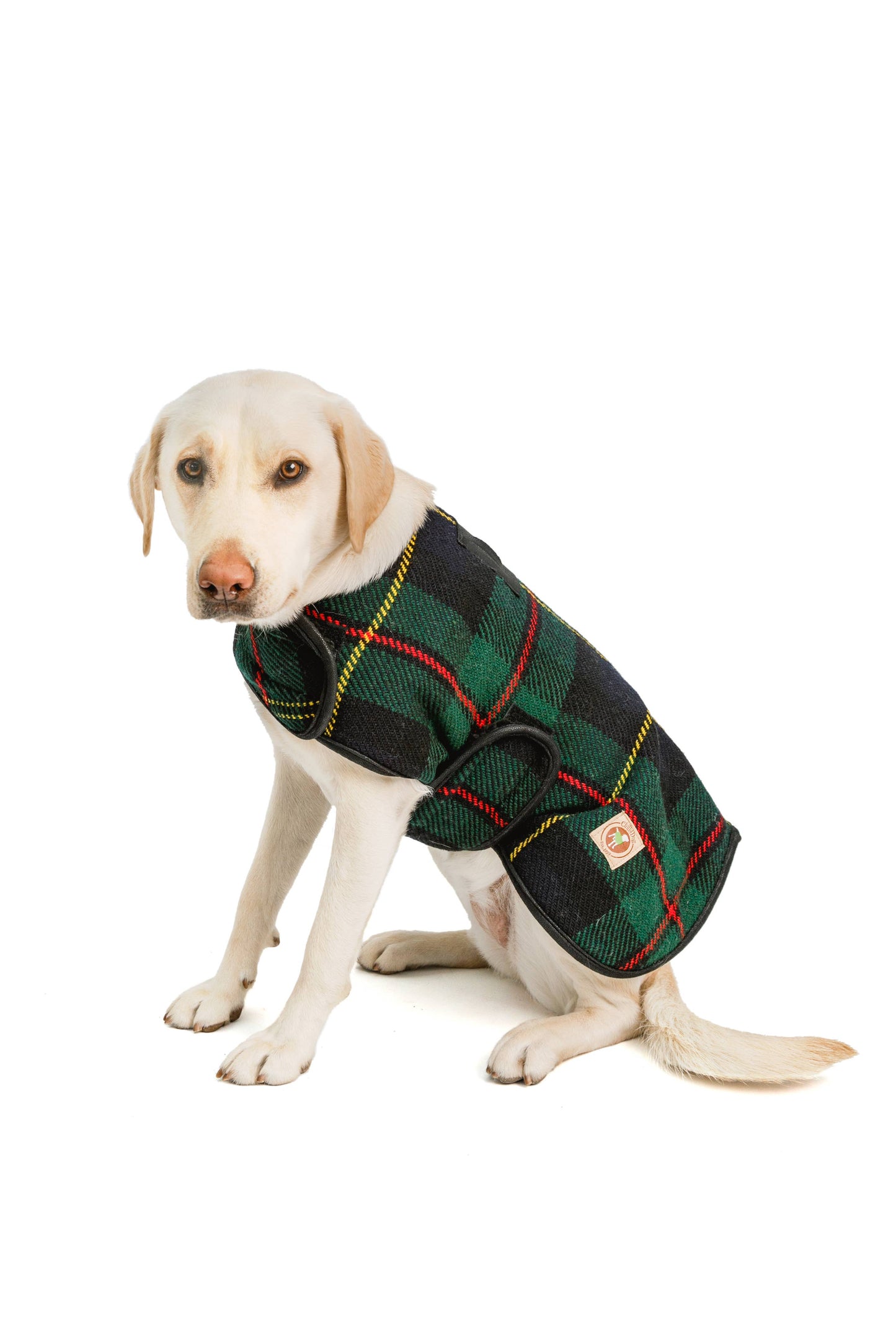 Chilly Dog Navy Tartan Plaid Blanket Dog Coat