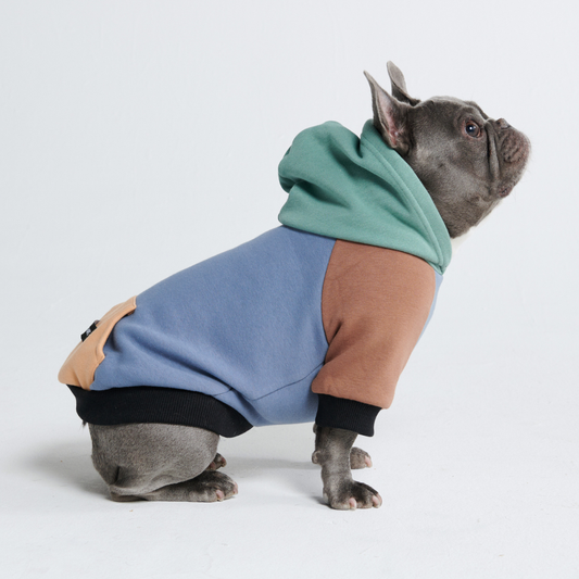 Spark Paws Alpine Dog Hoodie