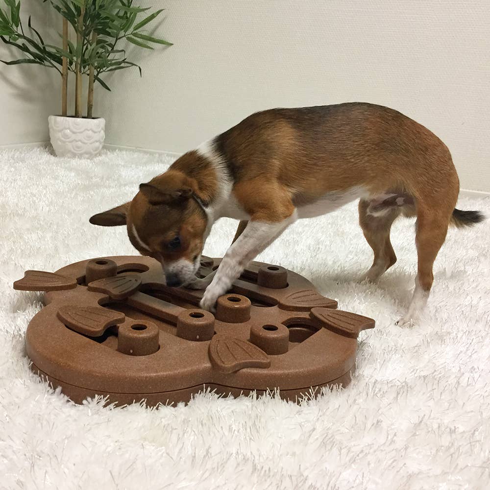 Nina Ottosson by Outward Hound Dog Hide N Slide Interactive Treat Puzzle