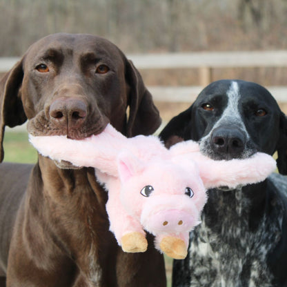 Tall Tails Dog Flying Pig Toy