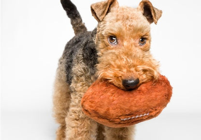 Fluff & Tuff Dog Football Plush Toy