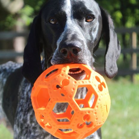 Tall Tails Dog GOAT Flex-A-Ball Toy