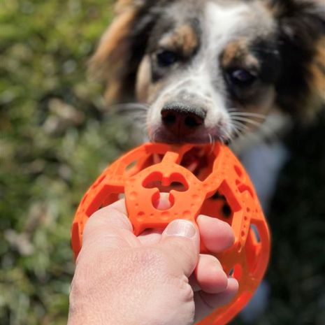 Tall Tails Dog GOAT Flex-A-Ball Toy