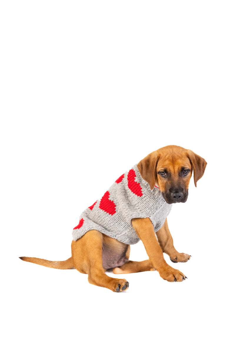 Chilly Dog Hearts Dog Sweater