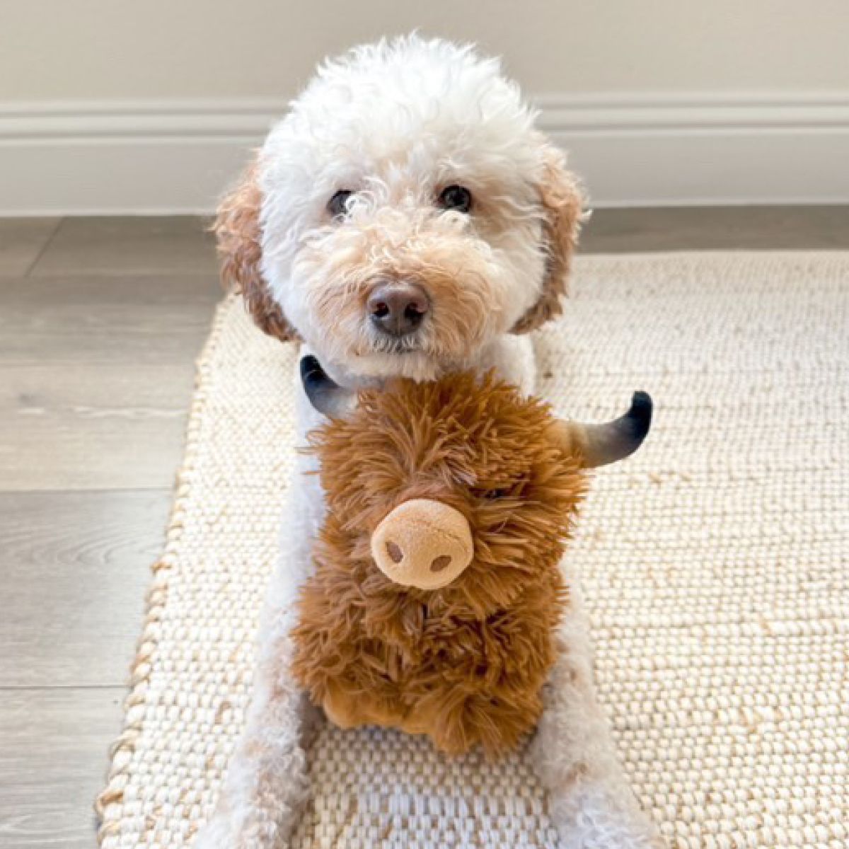 Tall Tails Dog Highland Cow Toy