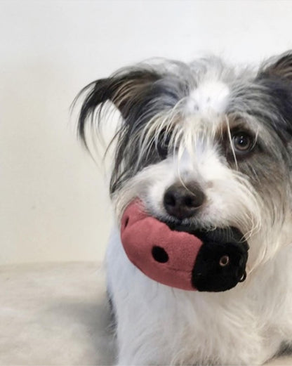 Fluff & Tuff Dog Lady Bug Plush Toy