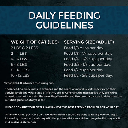 Fussie Cat Market Fresh Grain-Free Salmon Dry Food