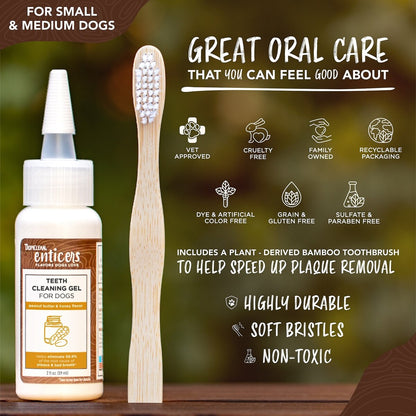 TropiClean Enticers Peanut Butter & Honey Flavored Toothpaste Dog Tooth Brushing Kit