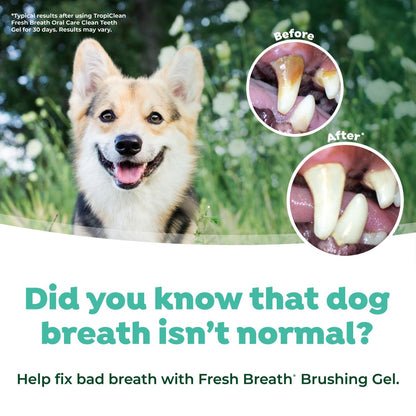 Fresh Breath Dog Oral Care Kit, Large Dog
