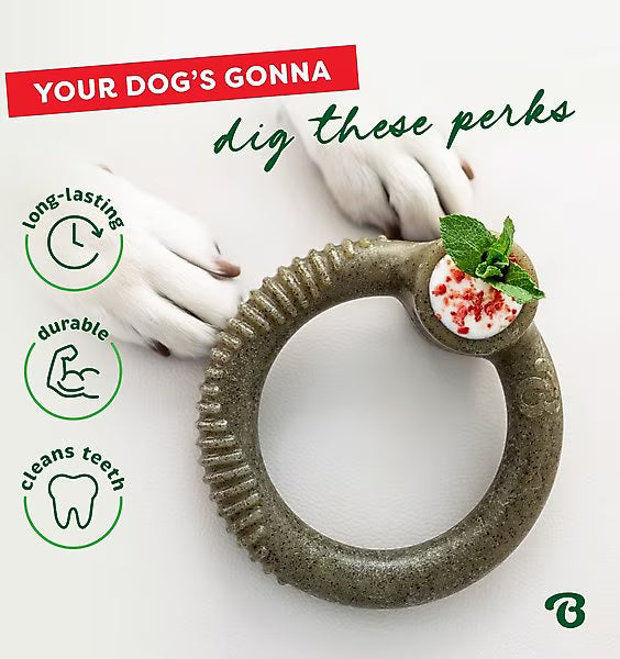 Benebone Holiday Ring Peppermint Flavor Chew Toy