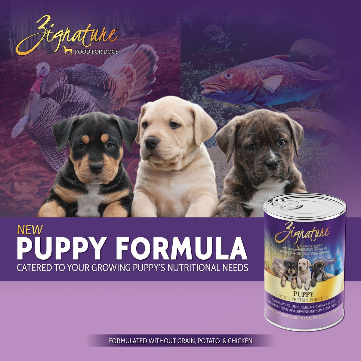 Zignature Puppy Formula Pate Canned Wet Dog Food