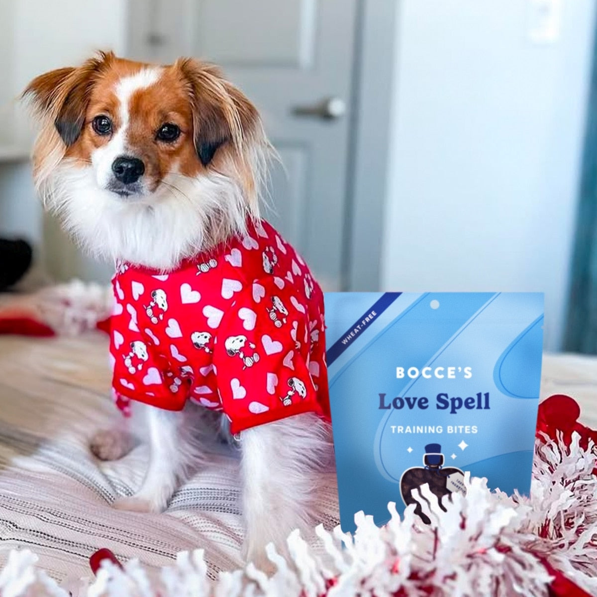 Bocce's Bakery Love Spell Training Bites Limited Ingredient Soft & Chewy Dog Treats, 6 oz.