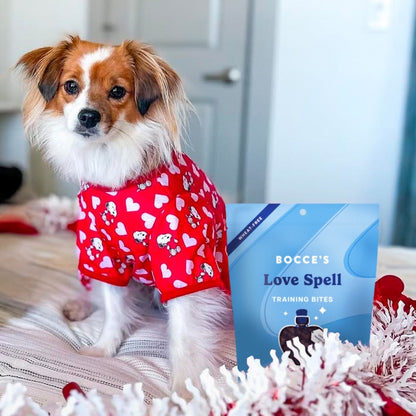 Bocce's Bakery Love Spell Training Bites Limited Ingredient Soft & Chewy Dog Treats, 6 oz.