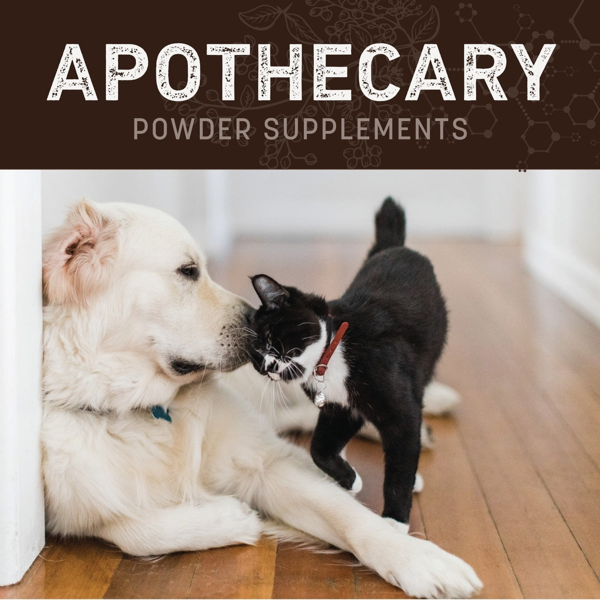 Earth Animal Apothecary Healthy Digestion Digestive Nutritional Probiotic Powder Supplement for Dogs & Cats