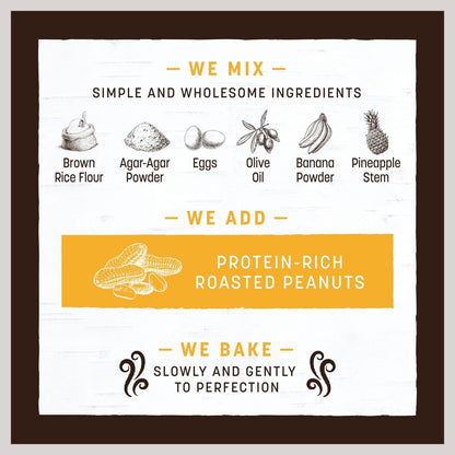 Earth Animal No-Hide Stix Peanut Butter Recipe Rawhide Alternative Chew Dog & Cat Treat Sticks