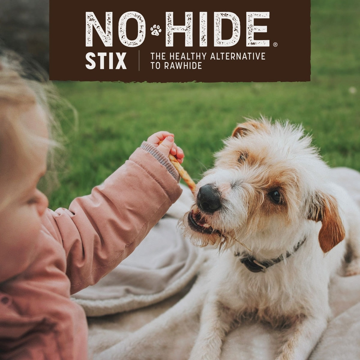 Earth Animal No-Hide Stix Peanut Butter Recipe Rawhide Alternative Chew Dog & Cat Treat Sticks