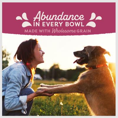 Natural Balance Fat Dogs Chicken & Salmon Formula Low Calorie Dry Dog Food
