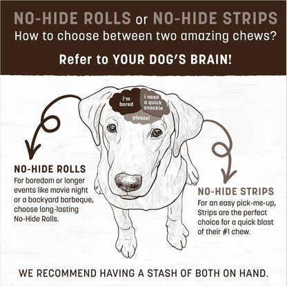 Earth Animal No-Hide Barbeque Dog Chew Strip (4 pack)