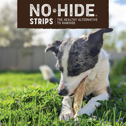 Earth Animal No-Hide Barbeque Dog Chew Strip (4 pack)