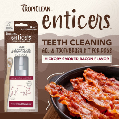 TropiClean Enticers Hickory Smoked Bacon Flavored Toothpaste Dog Tooth Brushing Kit