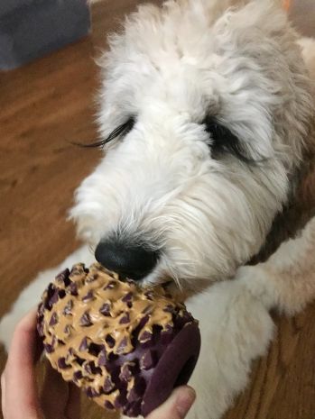 Tall Tails Dog Rubber Pinecone Reward Toy