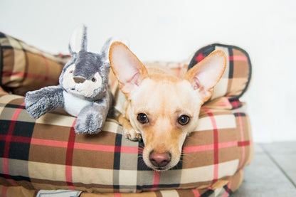 Fluff & Tuff Dog Jessica Bunny Plush Toy