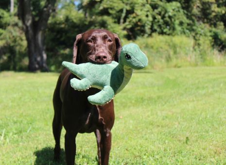 Tall Tails Dog Crunch Nessie Rope Body Toy