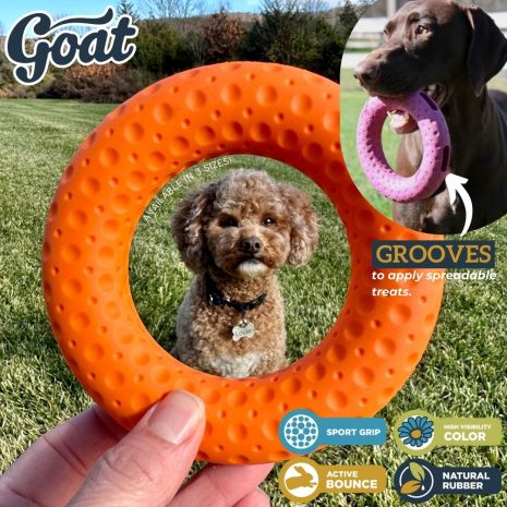 Tall Tails Dog GOAT Sport Ring Toy