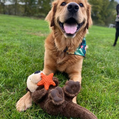 Tall Tails Dog Otter Rope Body Toy