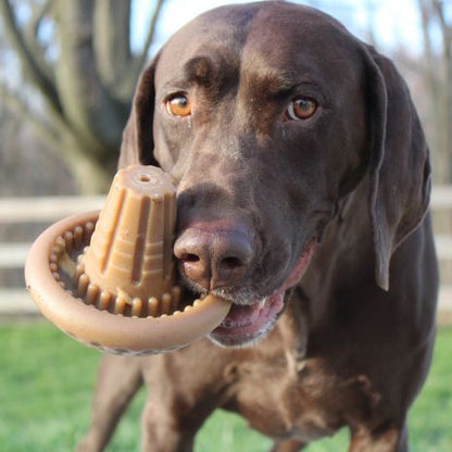 Tall Tails Dog Rubber Mushroom Reward Toy