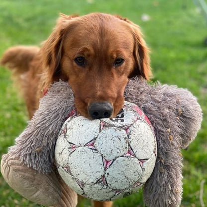 Tall Tails Dog Stuffless Big Foot Toy