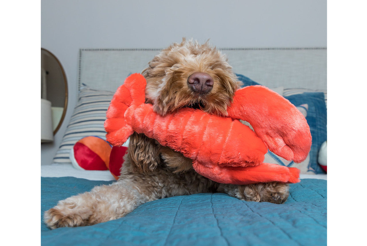 Fluff & Tuff Dog Manny Lobster Plush Toy