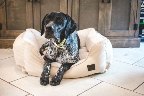 Tall Tails Bolster Dog Bed, Khaki