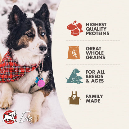 Fromm Dog Four-Star Grain Free Rancherosa Dry Food