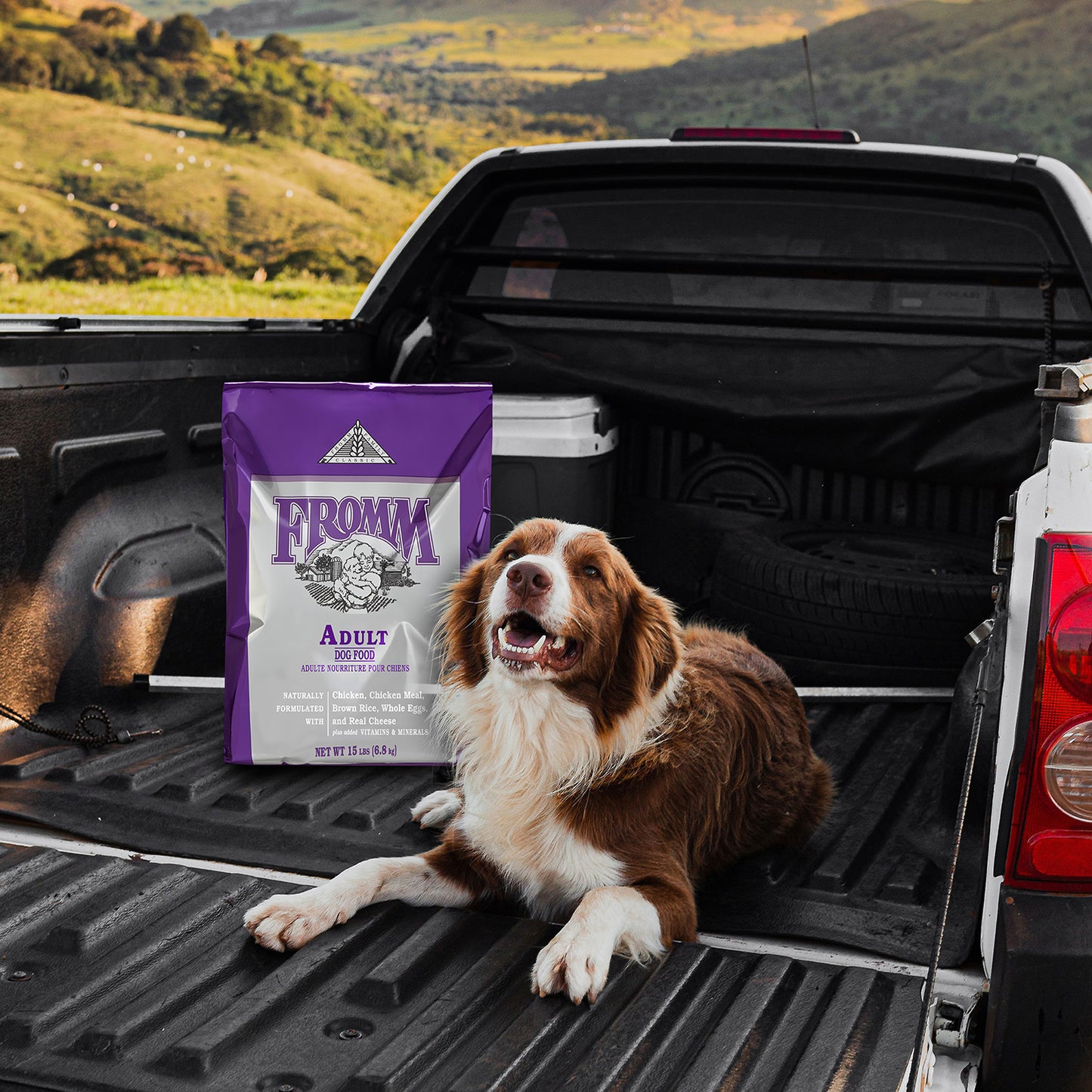 Fromm Classic Adult Dry Dog Food