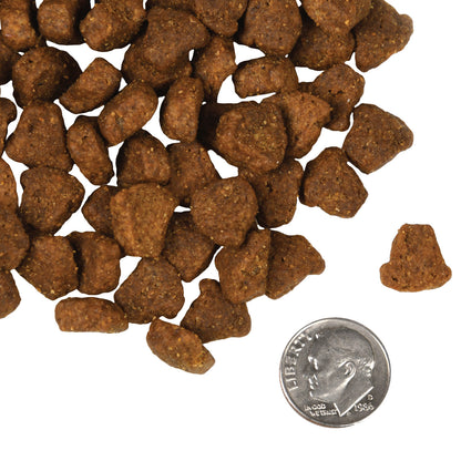 Fromm Dog Four-Star Grain Free Rancherosa Dry Food