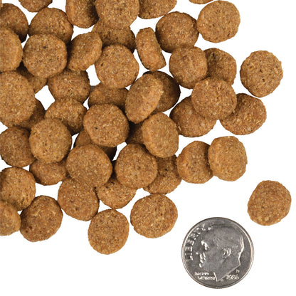 Fromm Dog Gold Large Breed Adult Dry Food