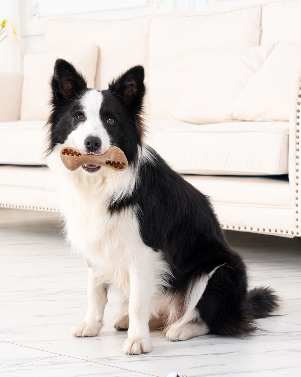 Tall Tails Freeze and Fill Chew Bone Dog Toy