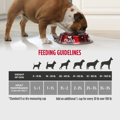 Nulo Dog Frontrunner Ancient Grains Turkey, Trout and Spelt Dry Food